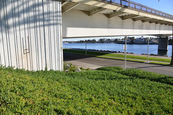 032 Golden Shore and Queensway C