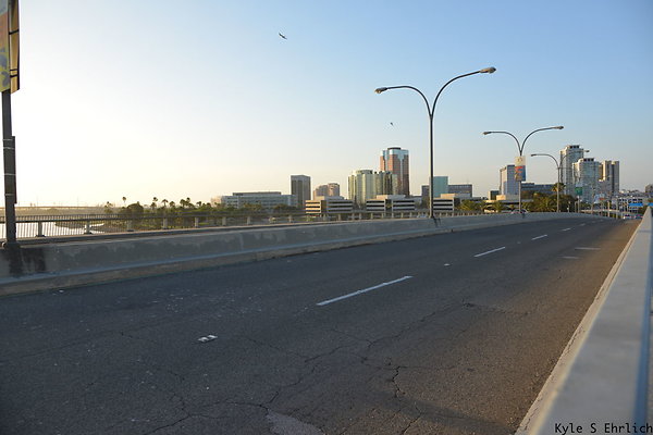 DSC 8356