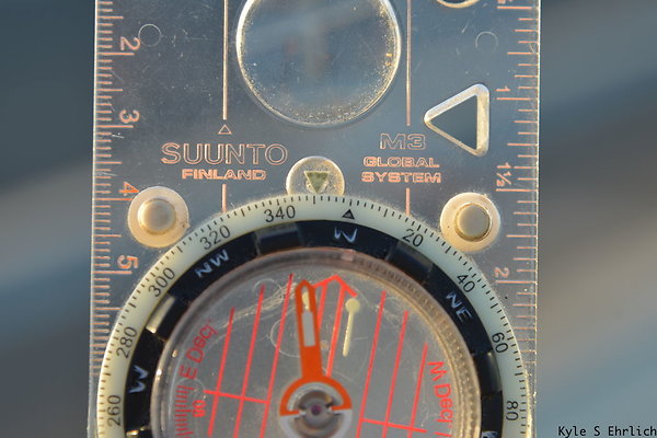DSC 8338