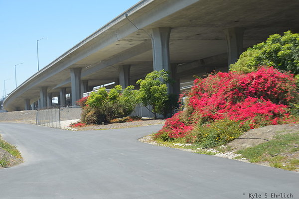 DSC 8335