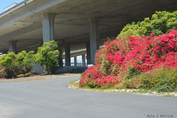 DSC 8351