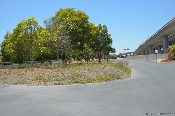 DSC 8297