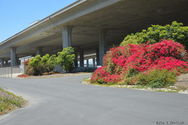 DSC 8350