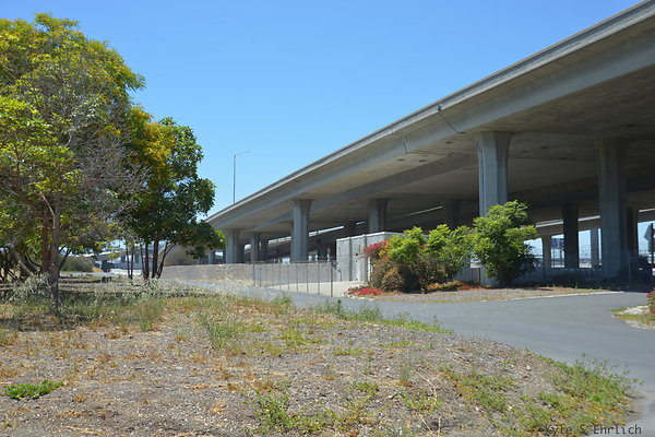 DSC 8331