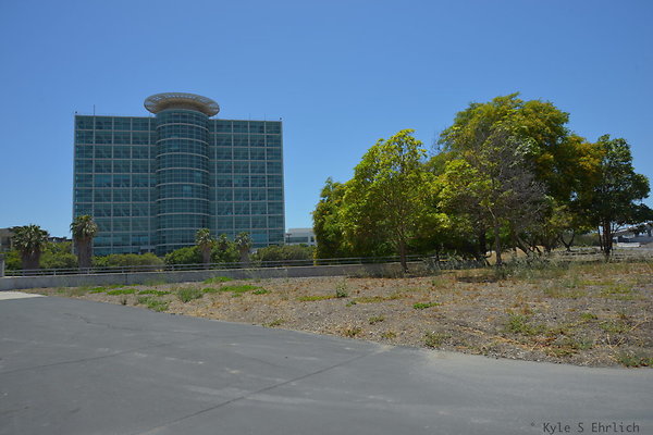DSC 8322