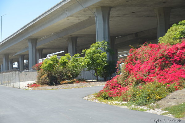 DSC 8336