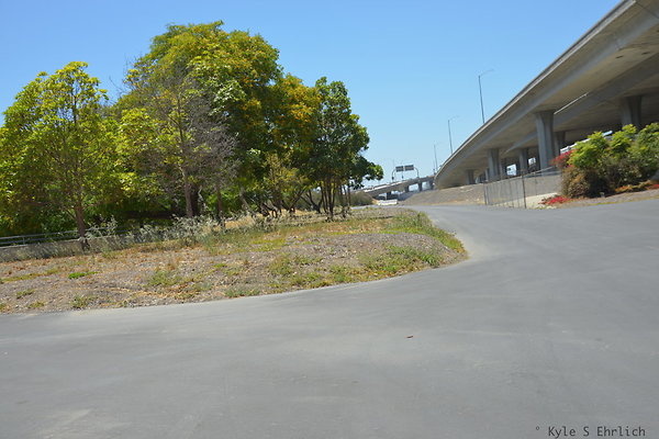 DSC 8306