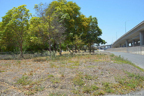 DSC 8289