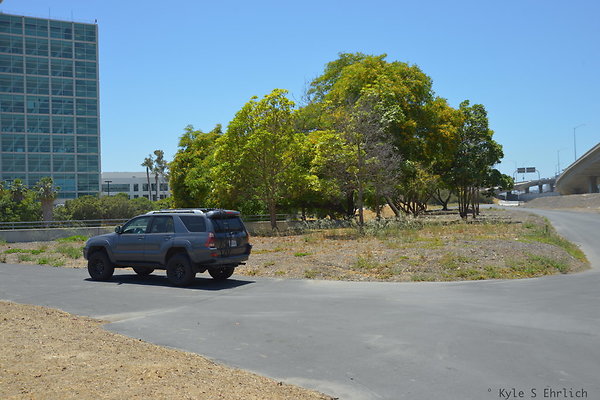 DSC 8337