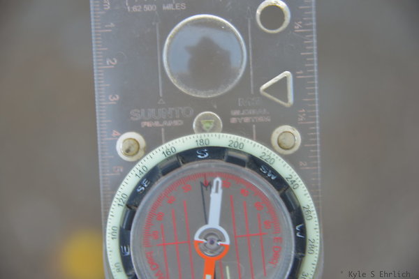 DSC 8130