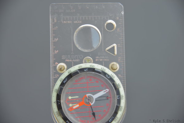 DSC 8207