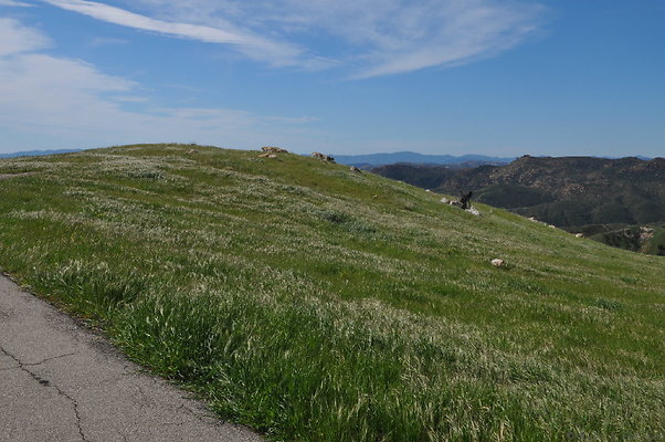 DSC 2343