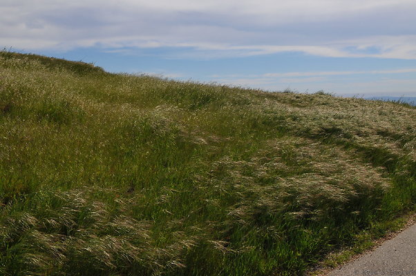DSC 2341
