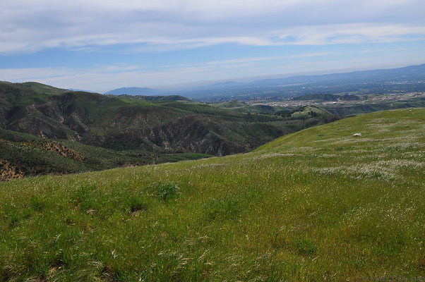 DSC 2329