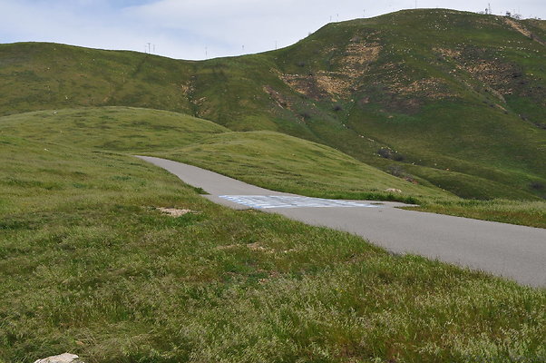 DSC 2265