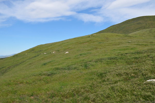 DSC 2266