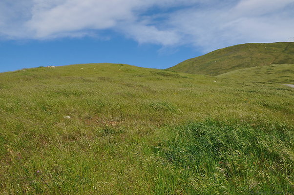 DSC 2293