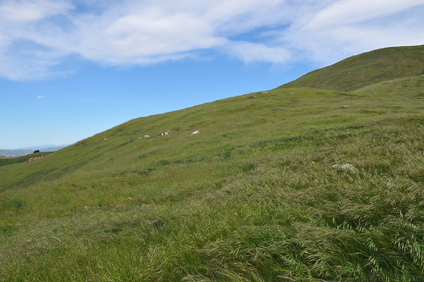 DSC 2272