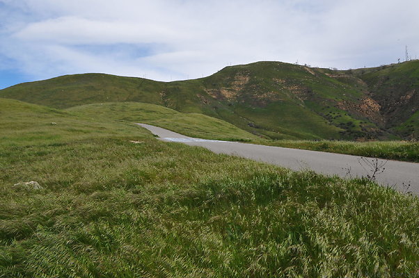 DSC 2269