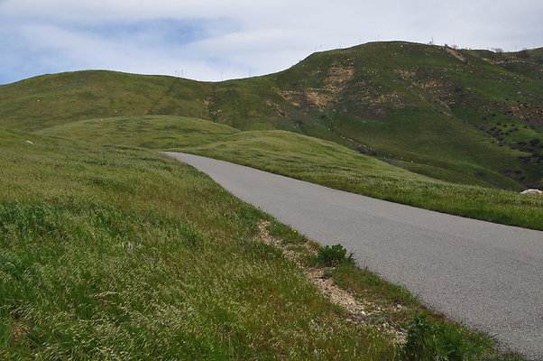 DSC 2279