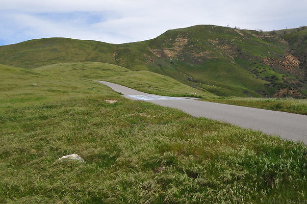 DSC 2267