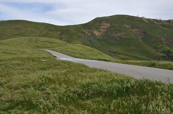 DSC 2270
