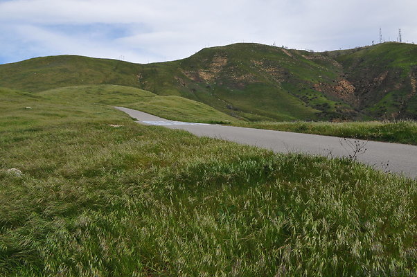 DSC 2273
