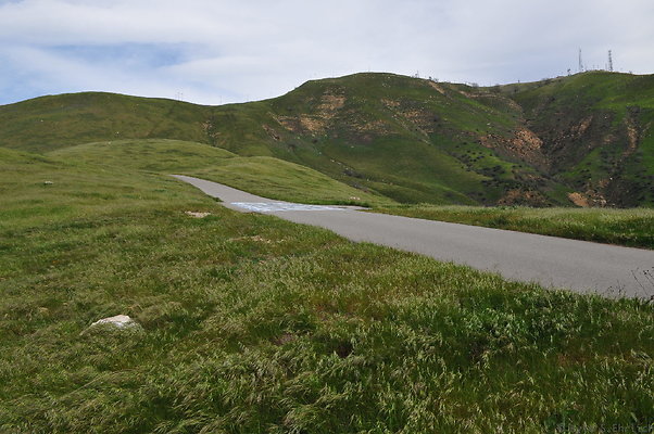 DSC 2264