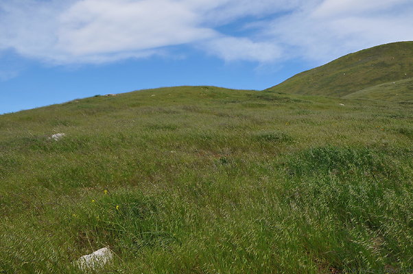DSC 2278