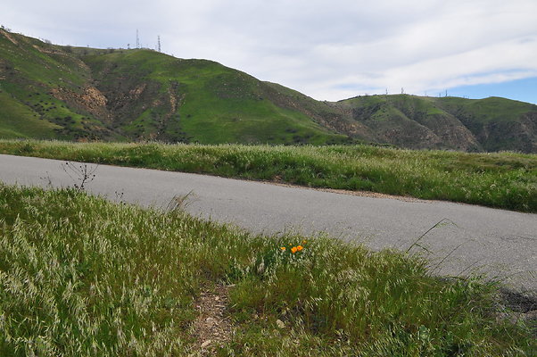 DSC 2274