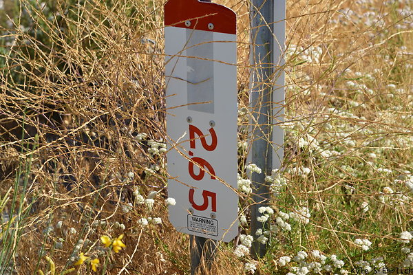 DSK 0135