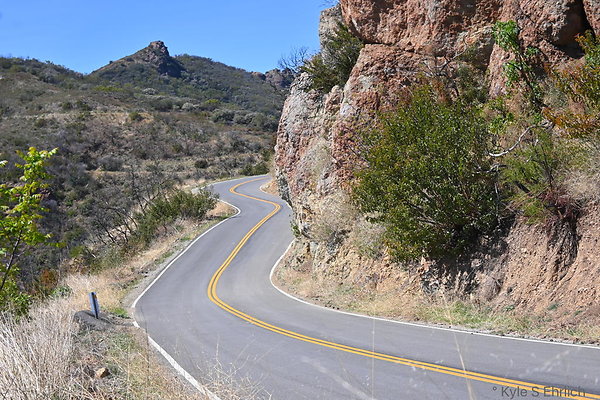 DSC 8517