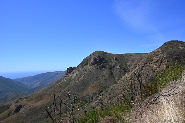 DSC 8512