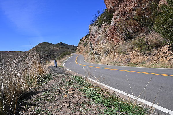 DSC 8538