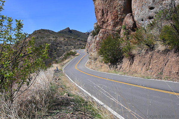 DSC 8516