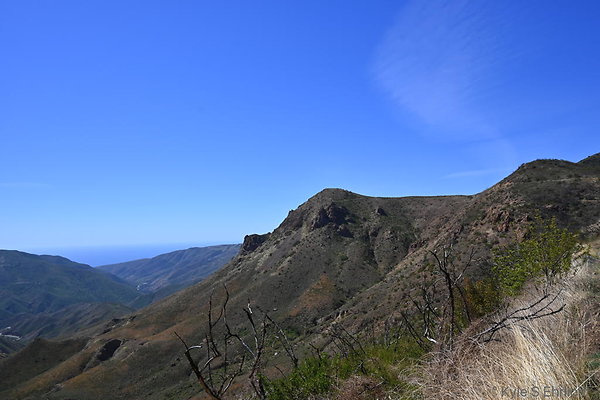 DSC 8506