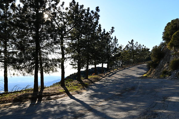 064 Santa Clara Truck Trail b