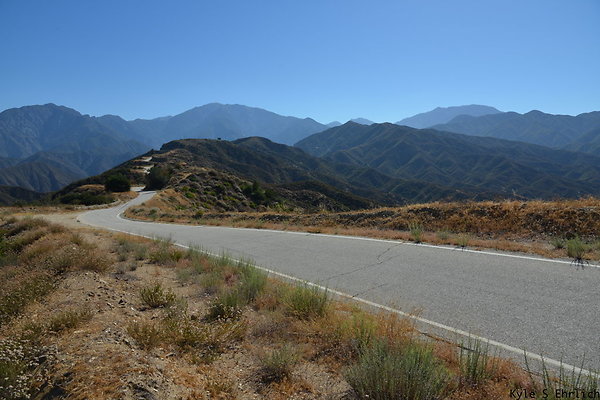 DSC 0782