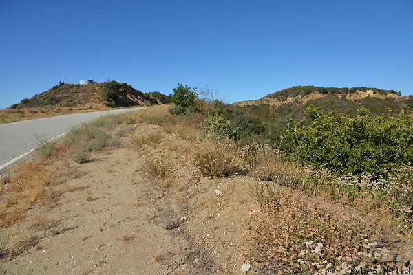 DSC 0801