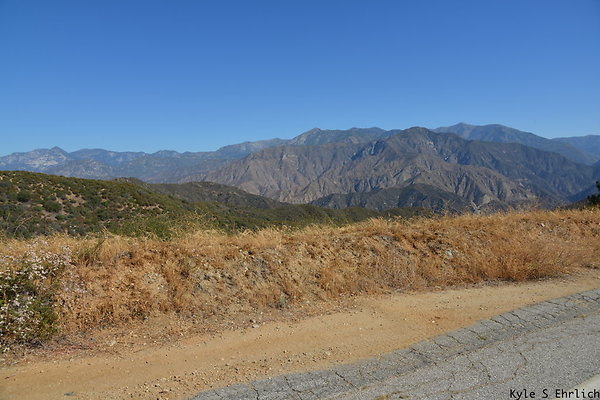 DSC 0819