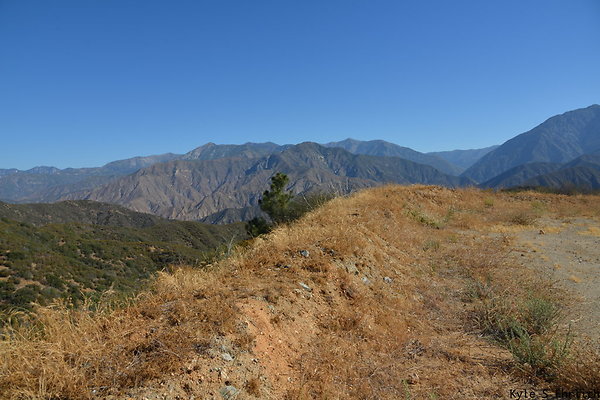 DSC 0765