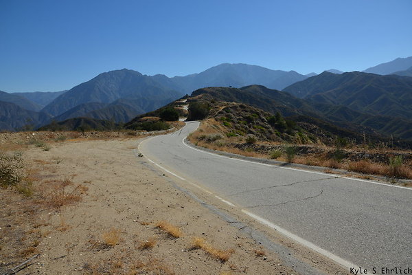 DSC 0798