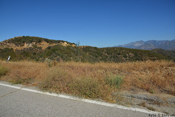 DSC 0809