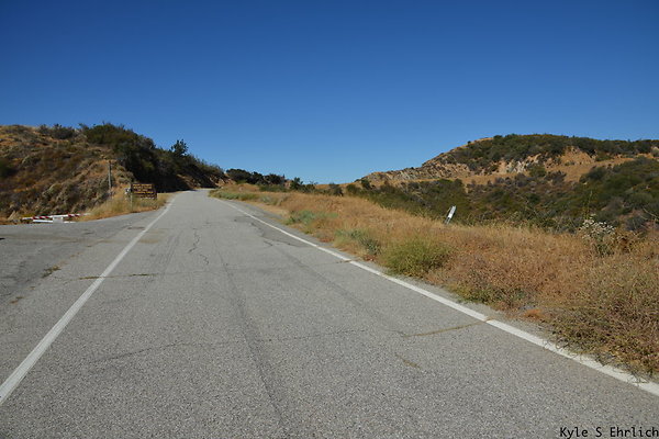 DSC 0808