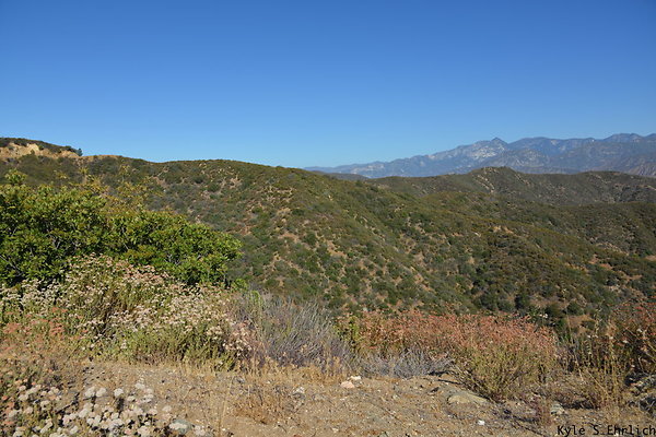 DSC 0802