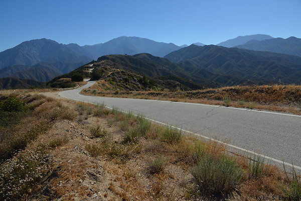 DSC 0791