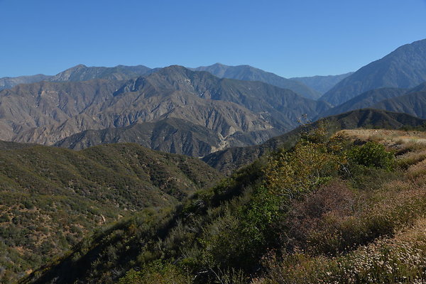 DSC 0784