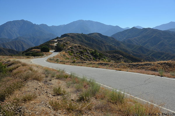 DSC 0785