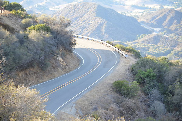 DSC 8786