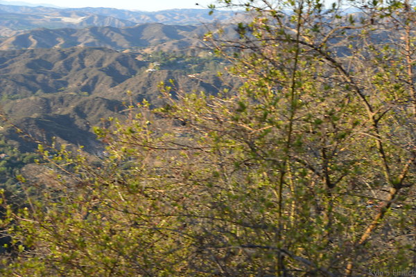 DSC 8790